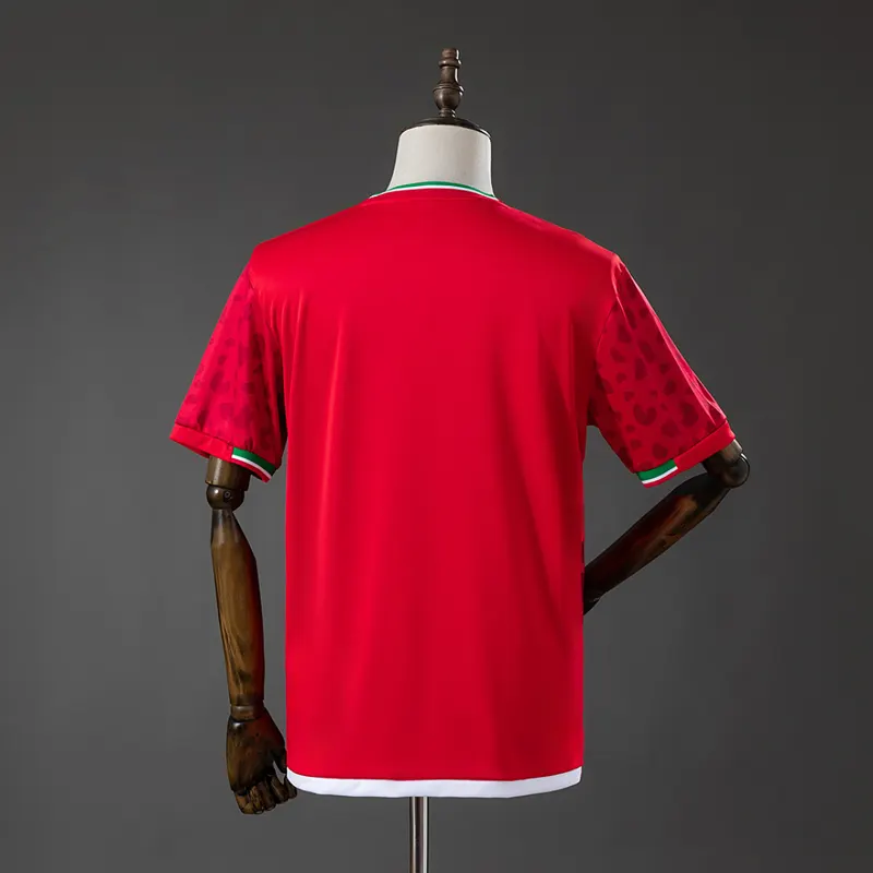 Iran Away Shirt 2026 &mdash; back view