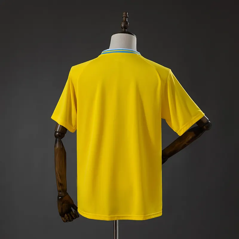 Sheffield Wednesday Away Shirt 2001 &mdash; back view