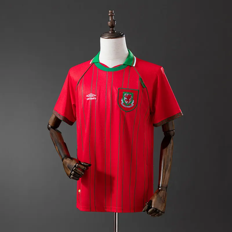 Galles Maglia casa 1994