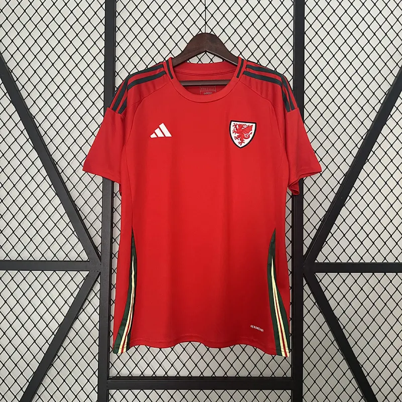 Galles Maglia casa 2024